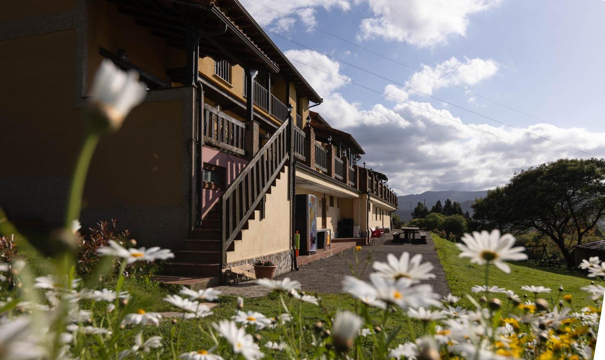 Complejo Turistico Mimosas Del Nalon Apartamento *