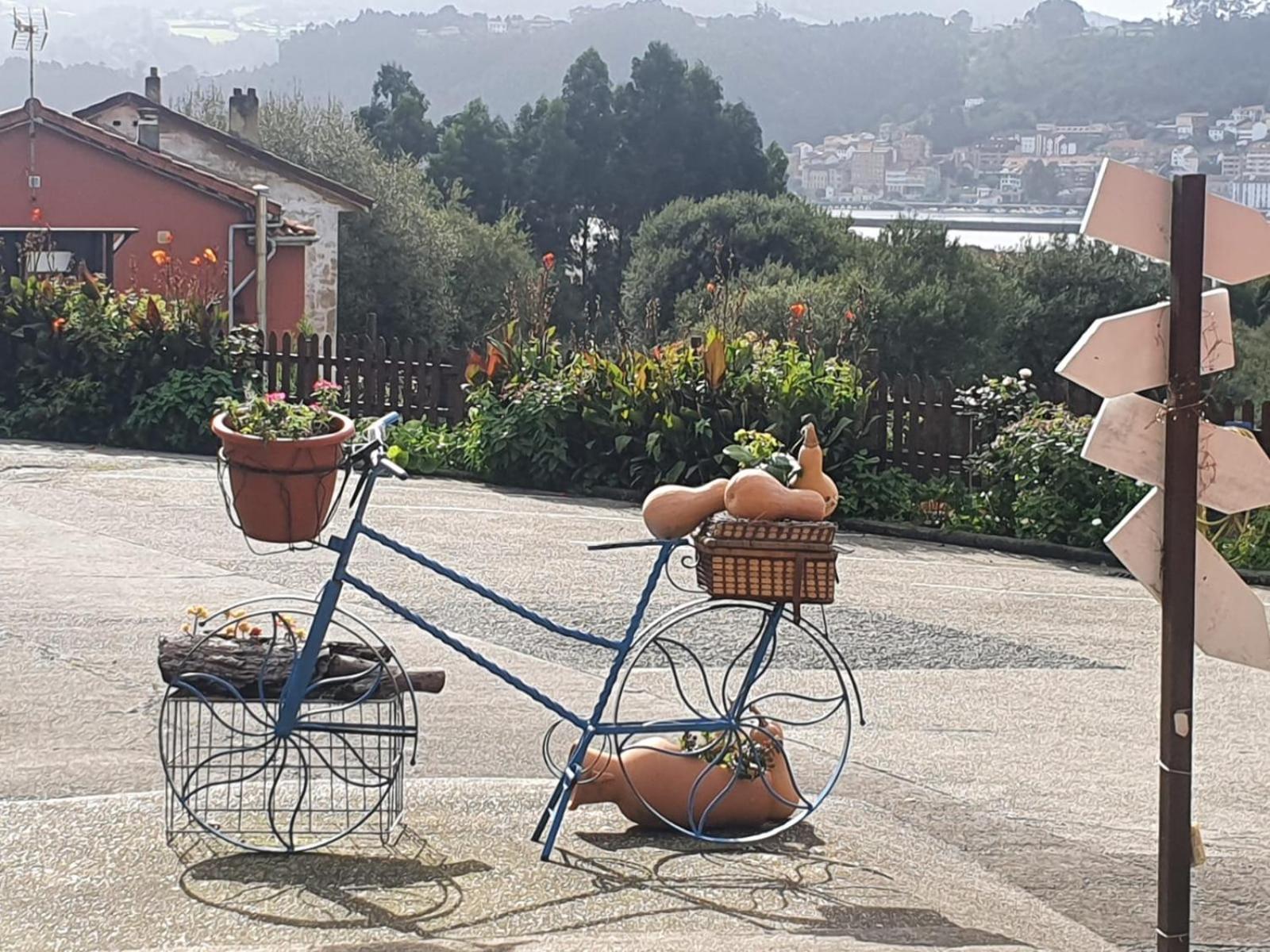 Complejo Turistico Mimosas Del Nalon Apartament *